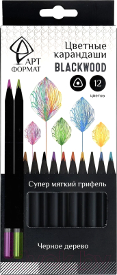Набор цветных карандашей АртФормат AF03-051-12