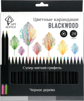 Набор цветных карандашей АртФормат AF03-051-24 - 