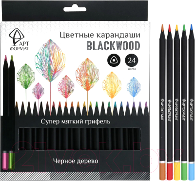 Набор цветных карандашей АртФормат AF03-051-24
