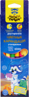 

Набор цветных карандашей, Енот в космосе / CP_33721