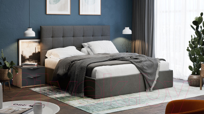 Двуспальная кровать ТриЯ Эмбер универсальный тип 1 с ПМ 160x200 (велюр графит)