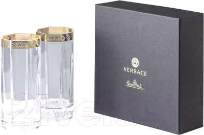 Набор стаканов Versace Medusa d'Or / 20665-110300-48874 (2шт)