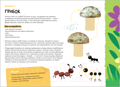 Развивающая книга Мозаика-Синтез Мастерская. Декоративное творчество 4+ / МС11922