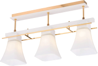 

Потолочный светильник Sfera Sveta, 85661/3C FGD+WH