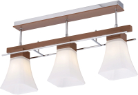 

Потолочный светильник Sfera Sveta, 85661/3C BROWN+CH