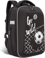 

Школьный рюкзак, Rap-291-3