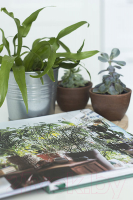 Книга МИФ Urban Jungle. Как создать уютный интерьер с помощью растений