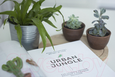 Книга МИФ Urban Jungle. Как создать уютный интерьер с помощью растений