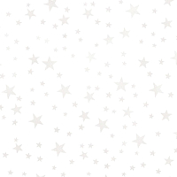 Панель ПВХ листовая Декоруст Стандарт New Звезды-45 (2500x250x7мм) - 