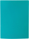 Папка для бумаг Lite NP0155-60G с файлами - 