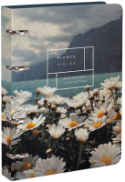 

Тетрадь Lorex, Summertime Sadness / LXNBCL-SMS