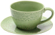 Чашка с блюдцем Fissman Lykke 6348 (зеленый) - 