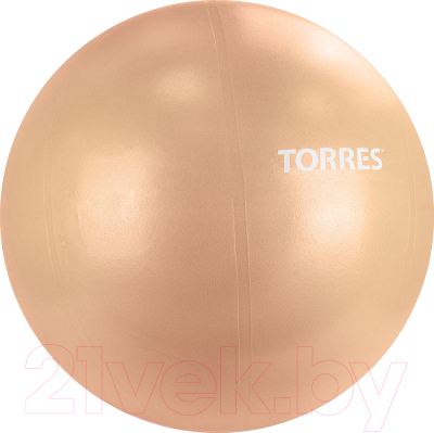Фитбол гладкий Torres AL122165PN