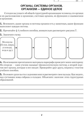 Рабочая тетрадь Аверсэв Биология 9 класс (Лисов Н.Д.)