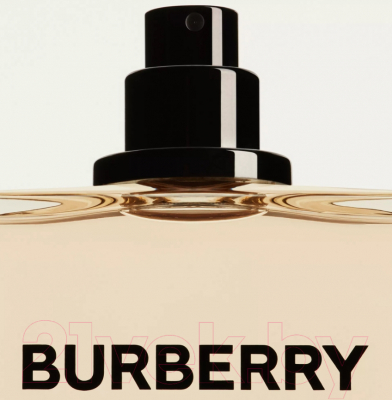 Туалетная вода Burberry Hero (50мл)