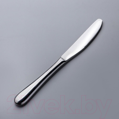 Столовый нож Wilmax WL-999100/1B