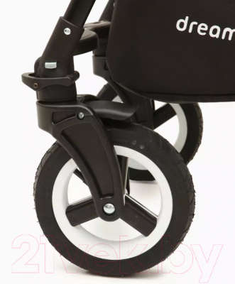 Детская универсальная коляска Rant Dream 3 в 1 (04, серый/мятный)