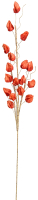 Искусственный цветок Вещицы Физалис осенний aj-55 - 
