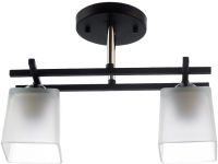 

Потолочный светильник Aitin-Pro, НПБ C1574/2