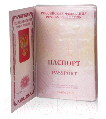 Набор файлов на страницы паспорта Staff 237964 (20шт)