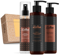 Набор косметики для тела и волос Zeitun Актив 24 Для мужчин ZM502 - 