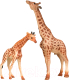 Набор фигурок коллекционных Masai Mara Мир диких животных. Семья жирафов / MM211-293 - 
