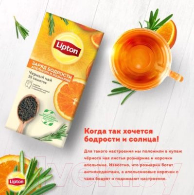 Чай пакетированный Lipton Orange & Rosemary (25пак)