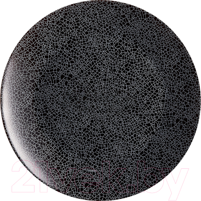 Тарелка столовая обеденная Luminarc Zoe Black V0118