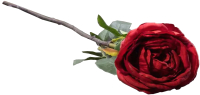 

Искусственный цветок Arya, Cabbage Rose / 8680943110787