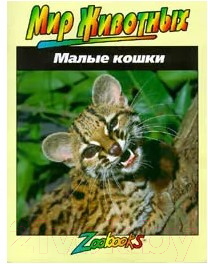 Изображение товара Книга Попурри Малые кошки (Вексо Д.)