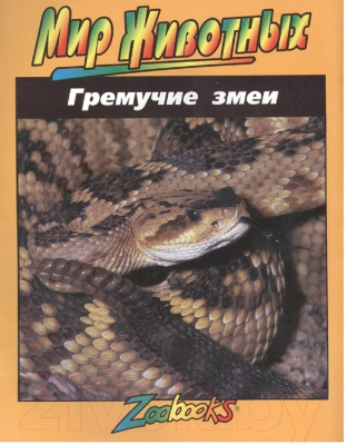 Изображение товара Энциклопедия Попурри Гремучие змеи (Брюст Б., Дорн Б.)