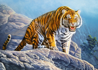 

Пазл Castorland, Тигр на скале / B-018451