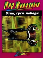 

Энциклопедия, Утки, гуси, лебеди