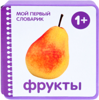 

Развивающая книга Мозаика-Синтез, Мой первый словарик. Фрукты / МС11409