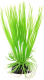 Декорация для аквариума Barbus Акорус / Plant 007/20 (зеленый) - 
