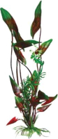 Декорация для аквариума Barbus Водная Кала / Plant 008/20 (зеленый/коричневый) - 