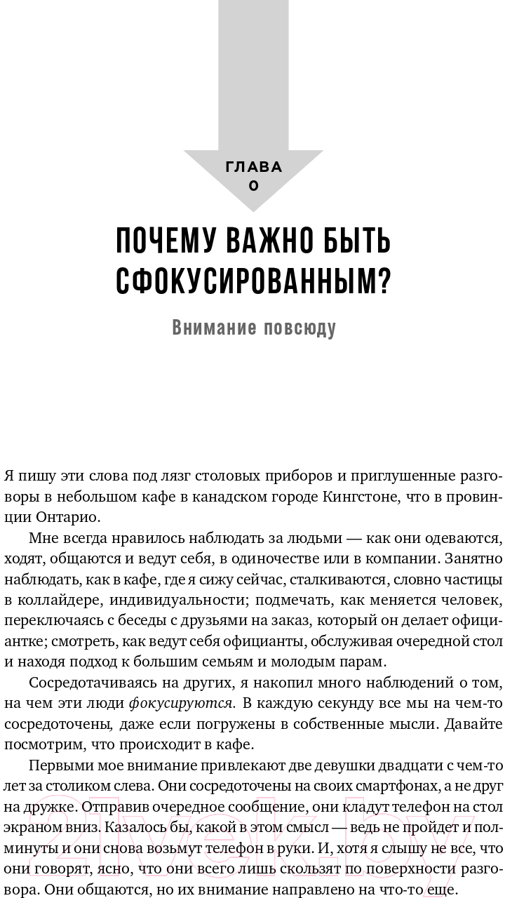 Книга Альпина Гиперфокус: Как управлять вниманием (Бэйли К.) — фото 4