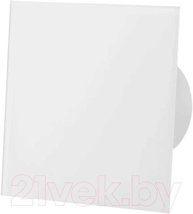 Вентилятор накладной AirRoxy dRim 100DTS-C183