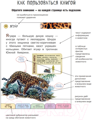 Энциклопедия Эксмо Все млекопитающие с крупными буквами (Ананьева Е.Г.)