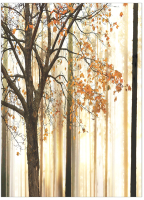 

Набор текстиля для спальни JoyArty, bcsl_1176