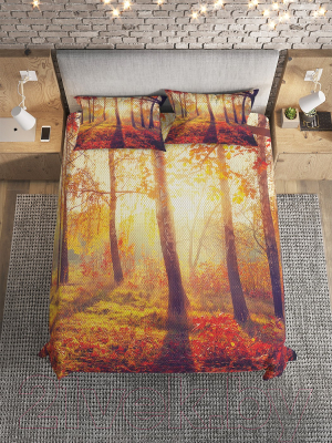 Набор текстиля для спальни JoyArty bcsl_2392 (160x220)