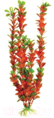 Декорация для аквариума Barbus Людвигия ползучая / Plant 022/20 (красный)