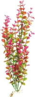 

Декорация для аквариума, Бакопа / Plant 025/10