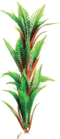 

Декорация для аквариума, Папоротник / Plant 027/10