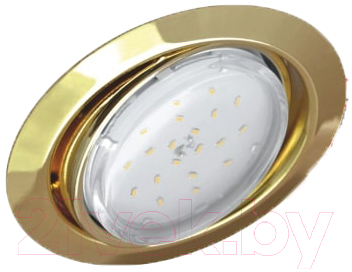Точечный светильник INhome GX53R-RT-G / 4690612024387 (золото)