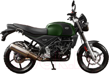 Мотоцикл M1NSK C4 300 (зеленый)