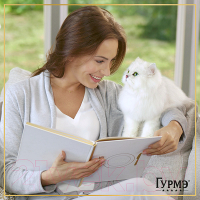 Изображение товара Влажный корм для кошек Гурмэ Перл желе де-люкс с лососем (75г)