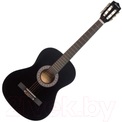 Акустическая гитара Terris TC-3801A BK