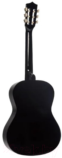 Акустическая гитара Terris TC-3801A BK — фото 3