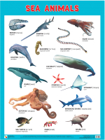 Развивающий плакат Мозаика-Синтез Sea Animals / МС11009 - 